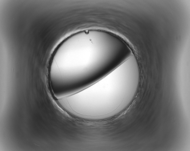 X0000086231518200703290932