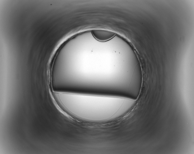 X0000086231519200703290932