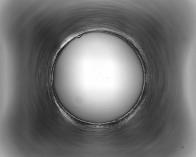 X0000086231521200703290932