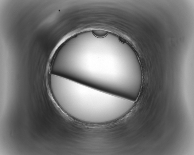 X0000086231522200703290932