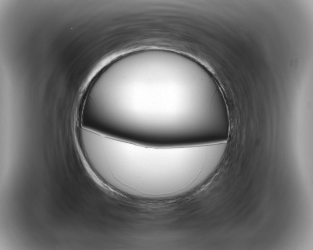 X0000086231523200703290932