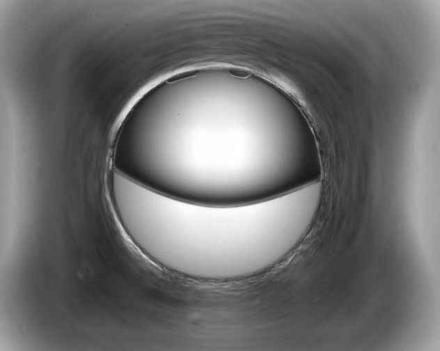 X0000086231524200703290932
