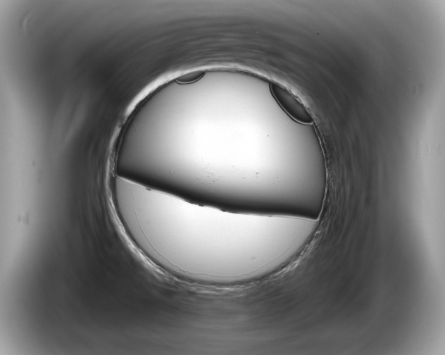 X0000086231526200703290932