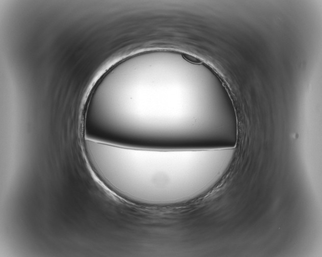 X0000086231527200703290932
