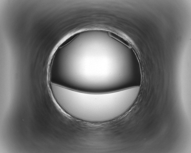 X0000086231528200703290932