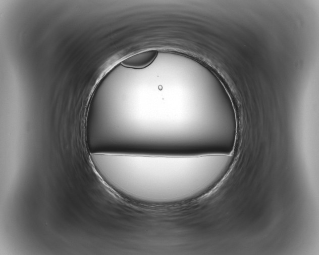 X0000086231529200703290932