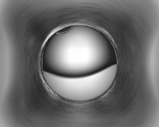 X0000086231530200703290932