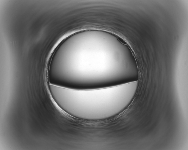 X0000086231531200703290932