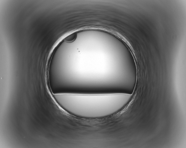 X0000086231533200703290932