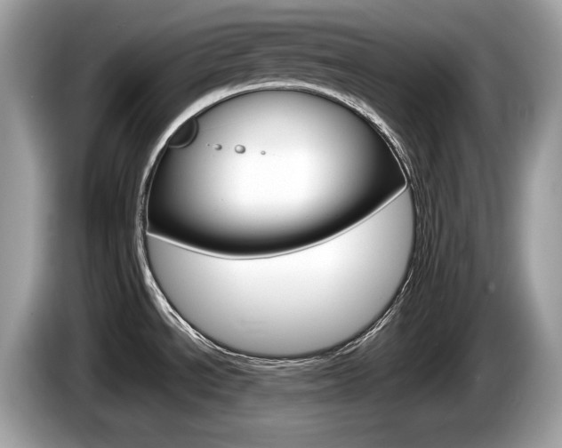X0000086231534200703290933