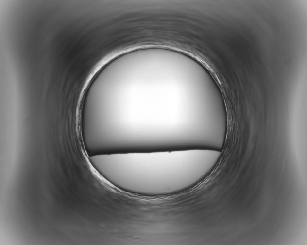 X0000086231535200703290933