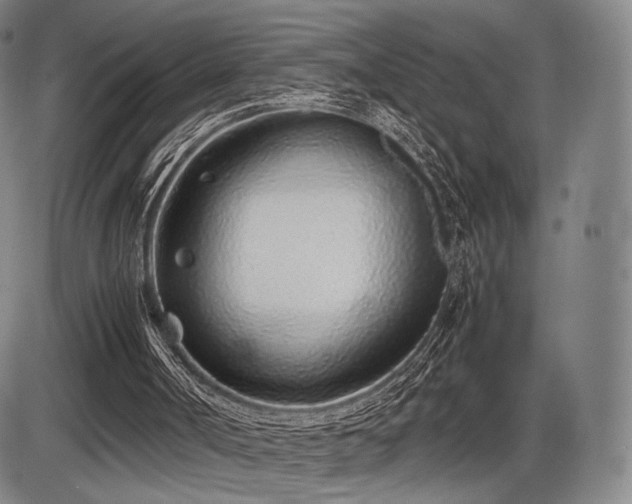 X0000086230002200703291341