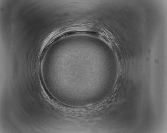 X0000086230003200703291341