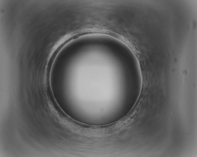 X0000086230008200703291341