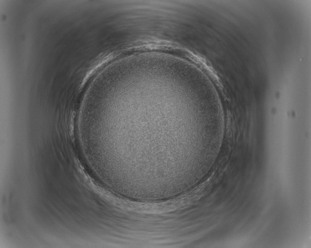 X0000086230010200703291341