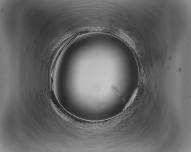 X0000086230013200703291341