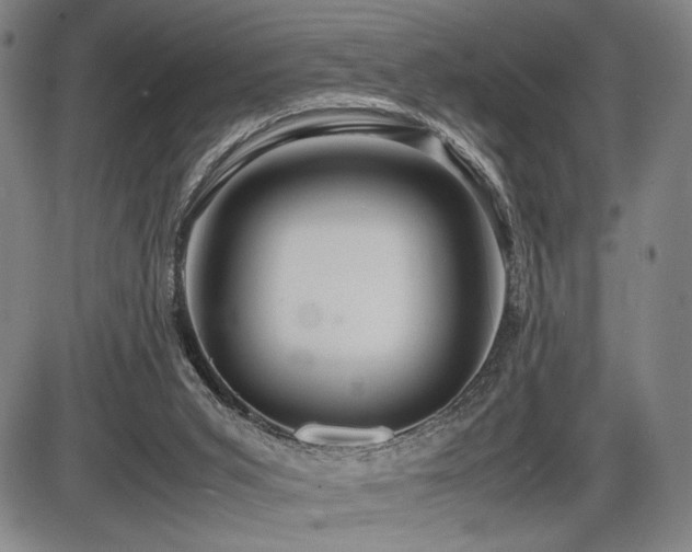 X0000086230015200703291341