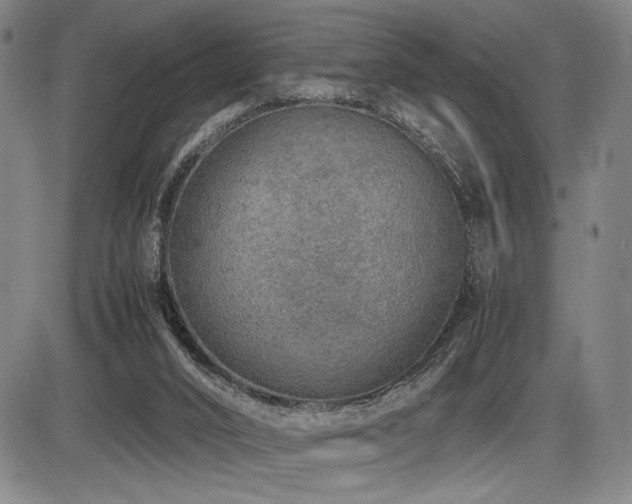 X0000086230016200703291341