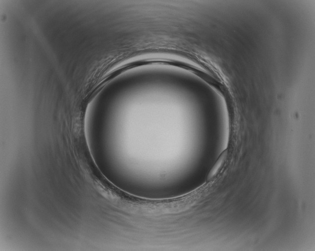 X0000086230017200703291341