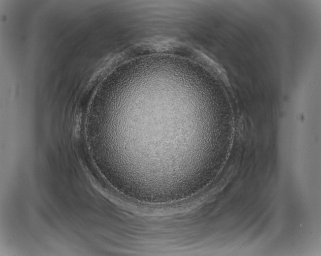X0000086230018200703291341