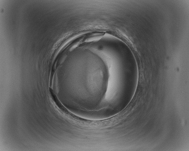 X0000086230019200703291341