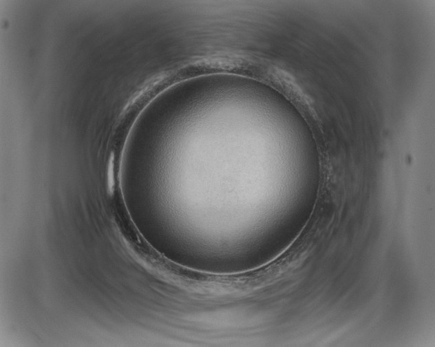 X0000086230020200703291341