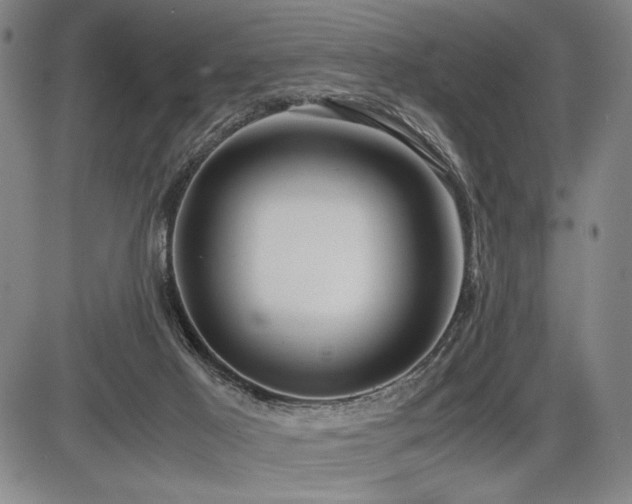 X0000086230021200703291341