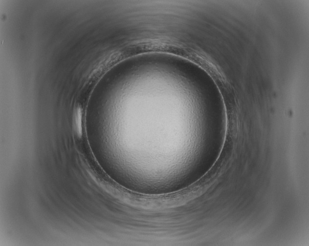 X0000086230022200703291341