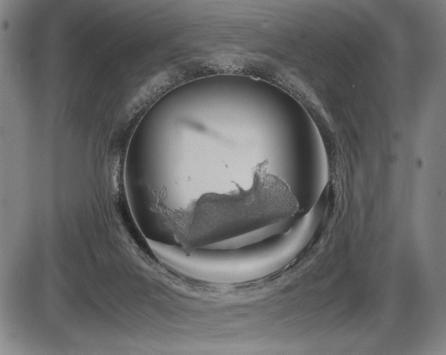X0000086230023200703291341