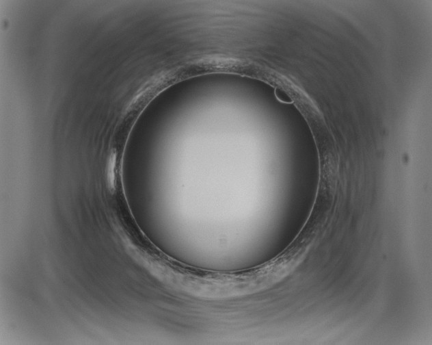 X0000086230024200703291341