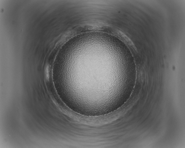 X0000086230026200703291341