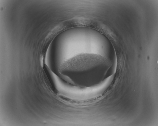 X0000086230027200703291341