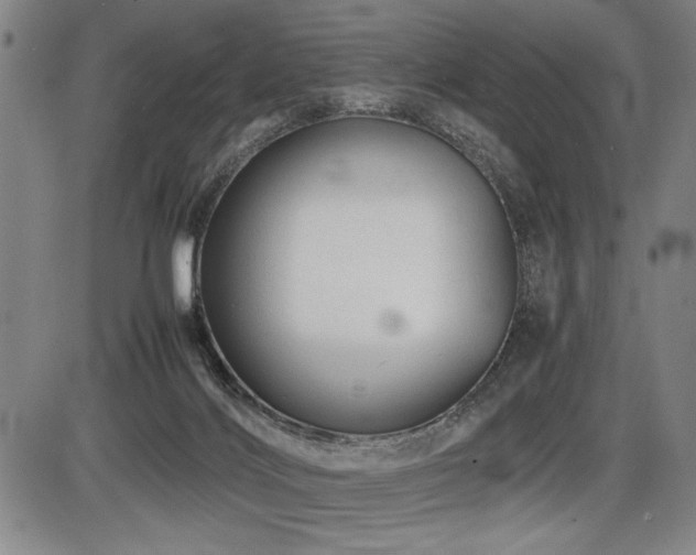 X0000086230028200703291341