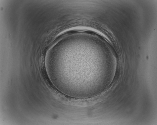 X0000086230029200703291341