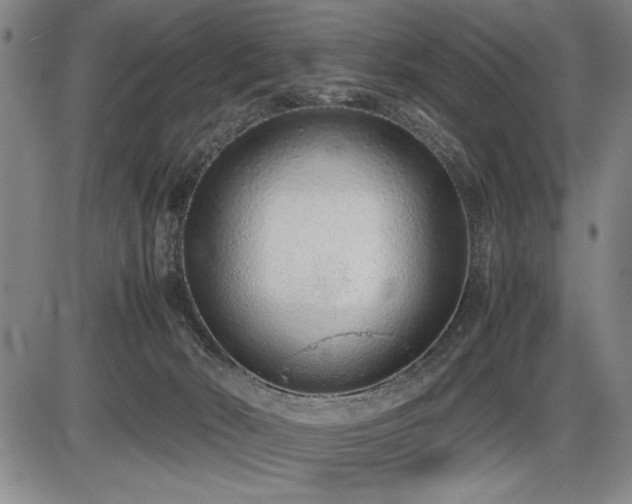 X0000086230030200703291341