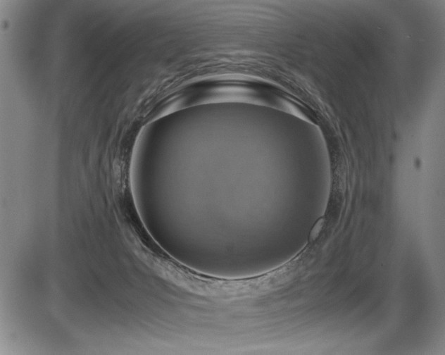 X0000086230031200703291341