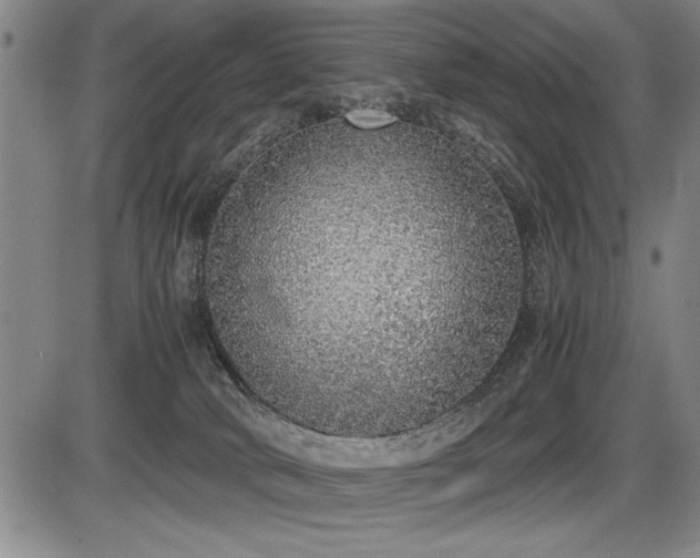 X0000086230034200703291341