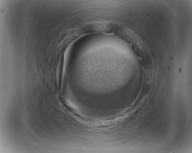 X0000086230035200703291341