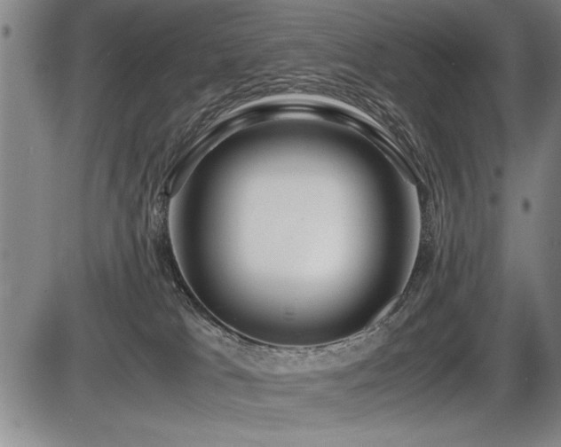 X0000086230037200703291341