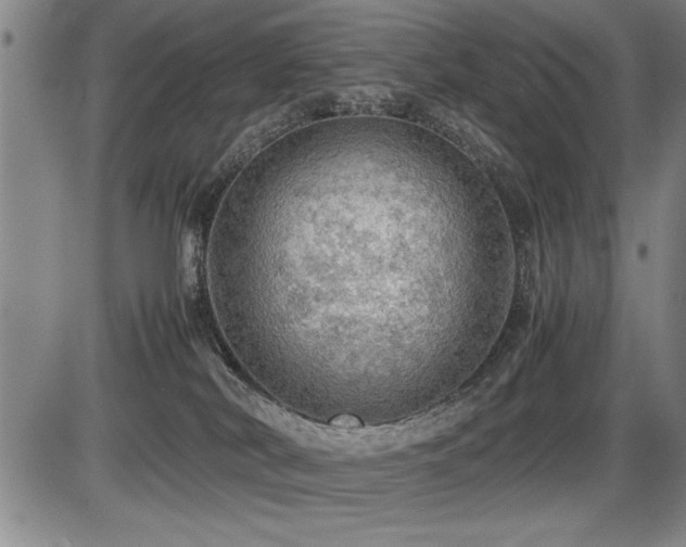 X0000086230038200703291341