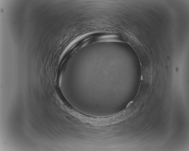 X0000086230039200703291341