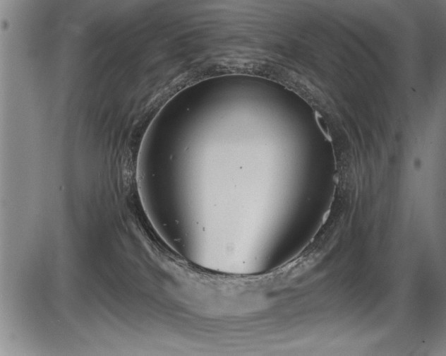 X0000086230040200703291341
