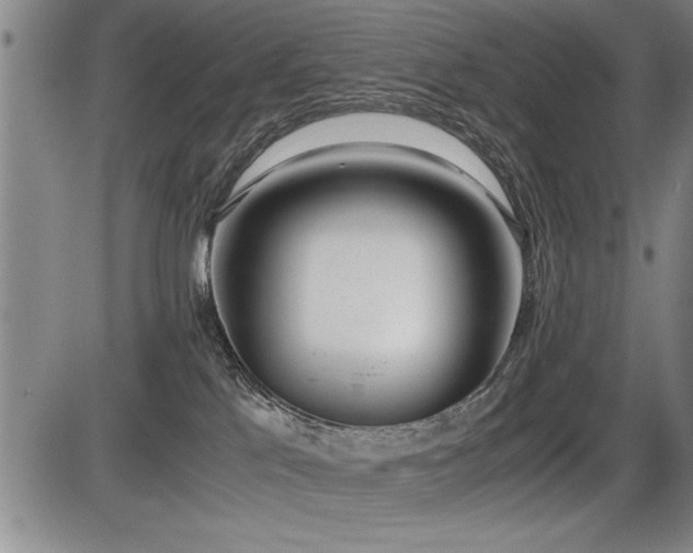 X0000086230041200703291341