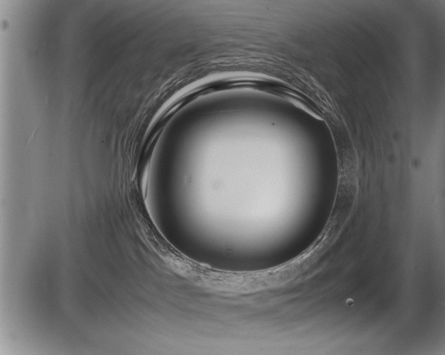 X0000086230045200703291341
