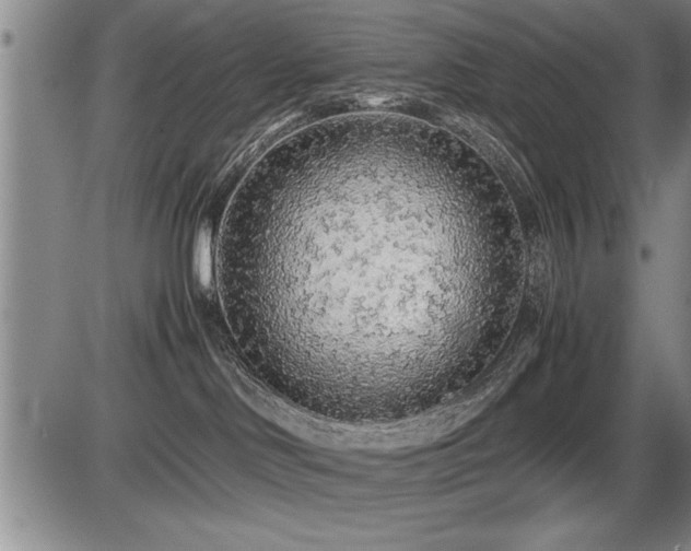 X0000086230046200703291341