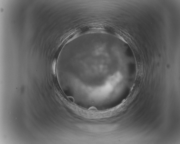 X0000086230047200703291341