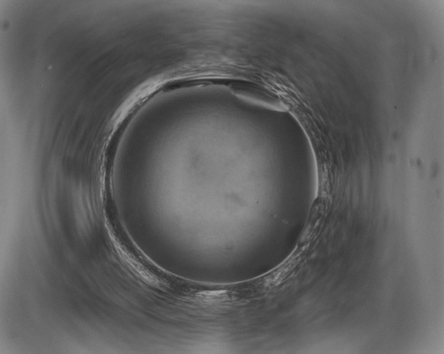 X0000086230054200703291340