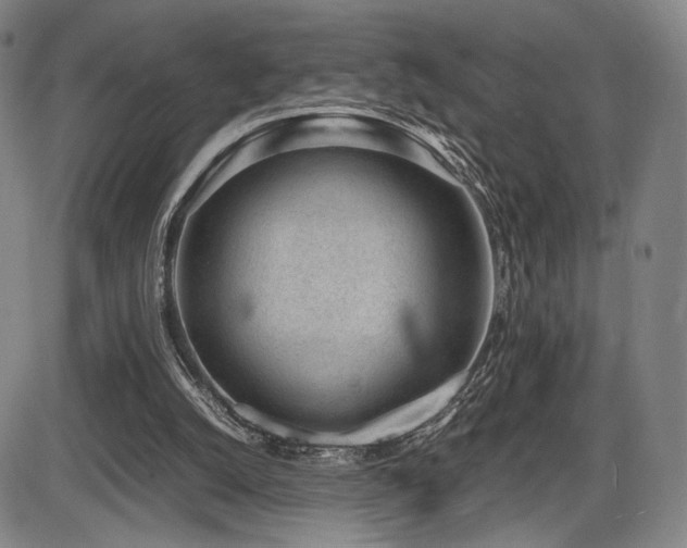 X0000086230056200703291340