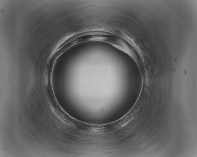 X0000086230060200703291340