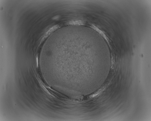 X0000086230061200703291340